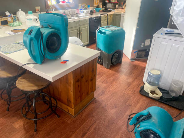 Best Water damage contractors near me  in Barton Creek, TX
